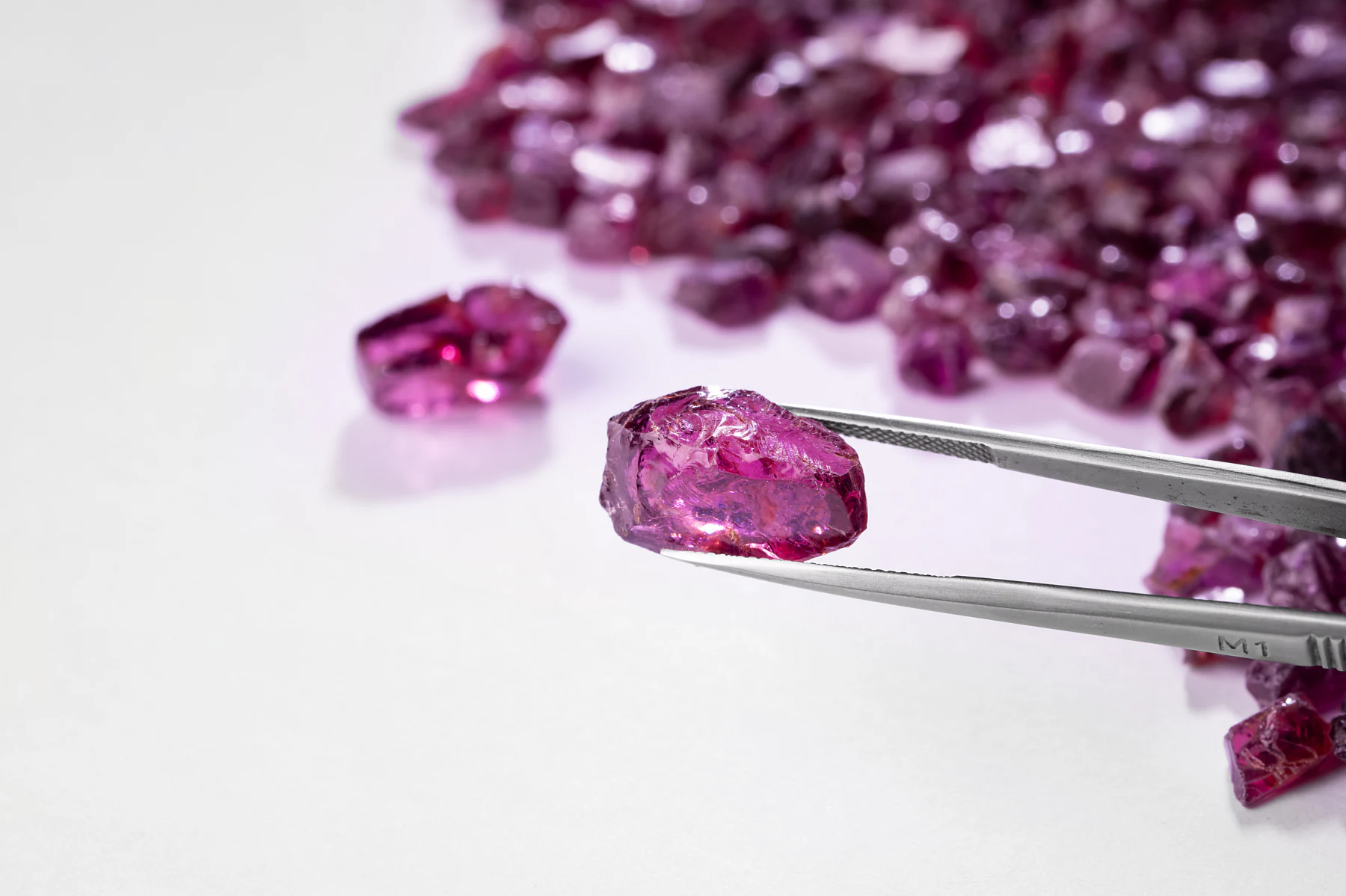 A rough rhodolite held in tweezers above a pile of rough stones.